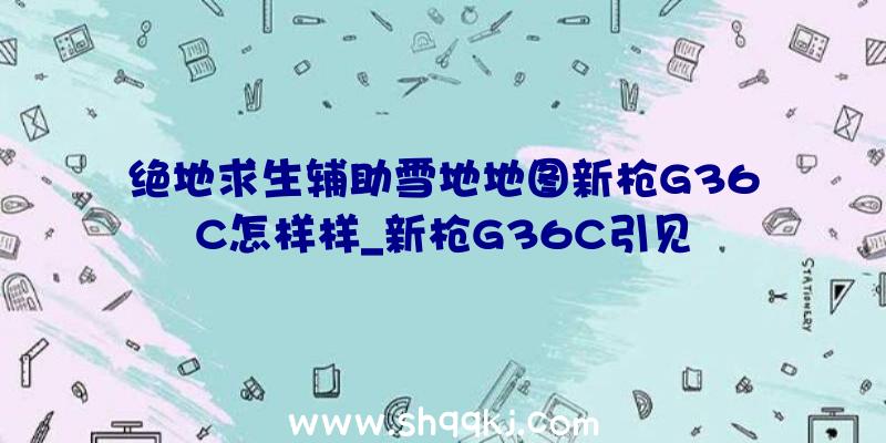 绝地求生辅助雪地地图新枪G36C怎样样_新枪G36C引见