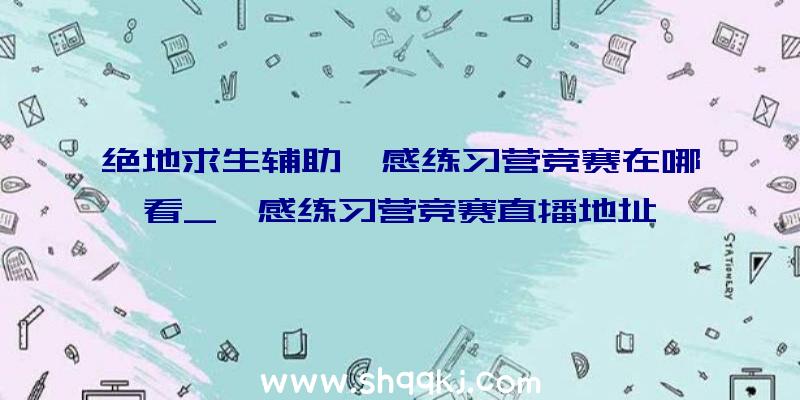 绝地求生辅助霖感练习营竞赛在哪看_霖感练习营竞赛直播地址