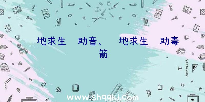 绝地求生辅助音、绝地求生辅助毒箭