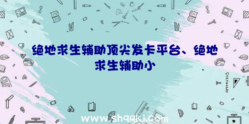 绝地求生辅助顶尖发卡平台、绝地求生辅助小