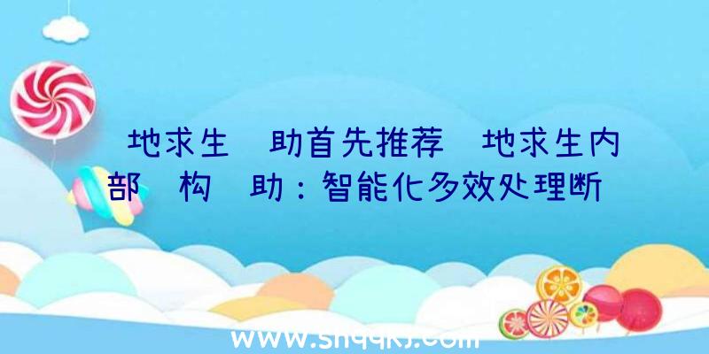 绝地求生辅助首先推荐绝地求生内部结构辅助：智能化多效处理断线丢包率