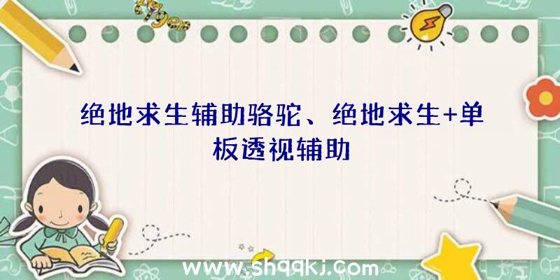 绝地求生辅助骆驼、绝地求生+单板透视辅助