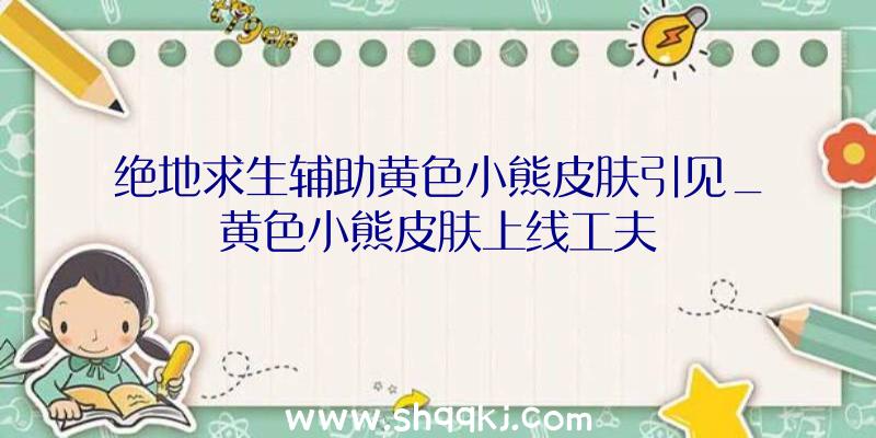 绝地求生辅助黄色小熊皮肤引见_黄色小熊皮肤上线工夫