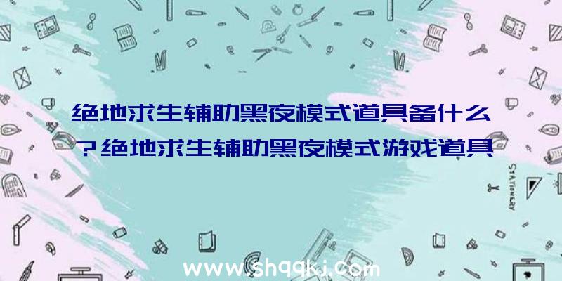 绝地求生辅助黑夜模式道具备什么？绝地求生辅助黑夜模式游戏道具全集