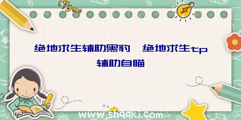 绝地求生辅助黑豹、绝地求生tp辅助自瞄