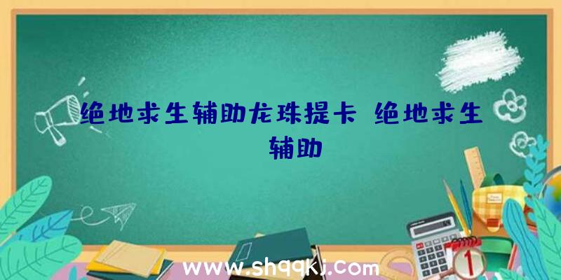 绝地求生辅助龙珠提卡、绝地求生is辅助