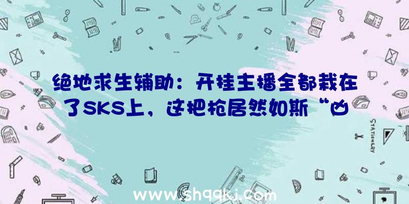 绝地求生辅助：开挂主播全都栽在了SKS上，这把枪居然如斯“凶猛”？