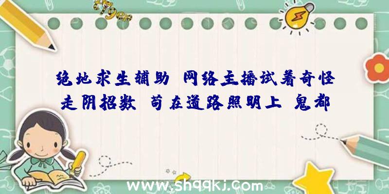 绝地求生辅助：网络主播试着奇怪走阴招数，苟在道路照明上，鬼都看不见