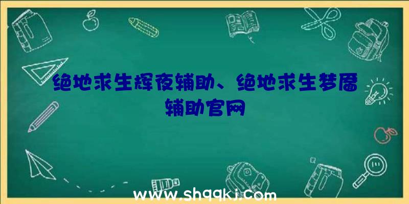 绝地求生辉夜辅助、绝地求生梦靥辅助官网