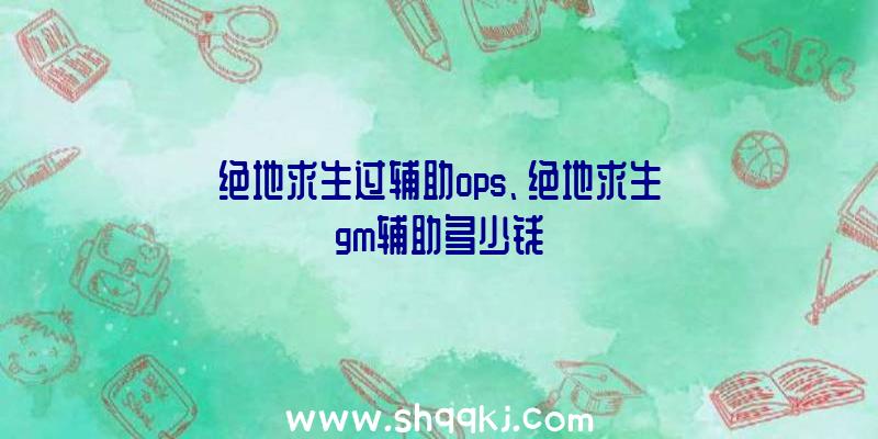 绝地求生过辅助ops、绝地求生gm辅助多少钱