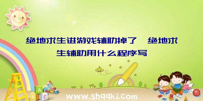 绝地求生进游戏辅助掉了、绝地求生辅助用什么程序写