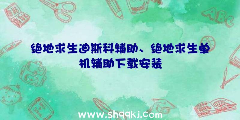 绝地求生迪斯科辅助、绝地求生单机辅助下载安装