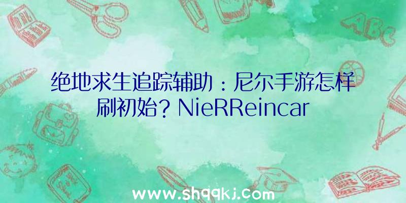 绝地求生追踪辅助：尼尔手游怎样刷初始？NieRReincarnation疾速刷初始步调办法分享