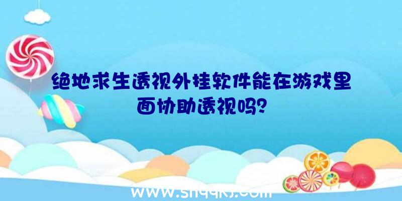 绝地求生透视外挂软件能在游戏里面协助透视吗？