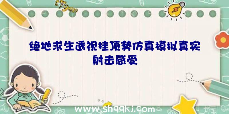 绝地求生透视挂顶势仿真模拟真实射击感受