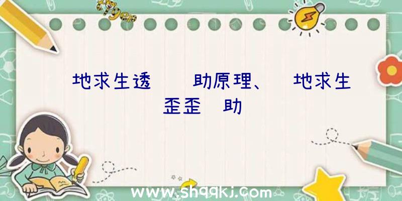 绝地求生透视辅助原理、绝地求生歪歪辅助