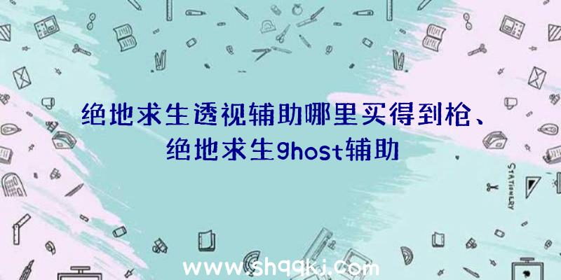 绝地求生透视辅助哪里买得到枪、绝地求生ghost辅助