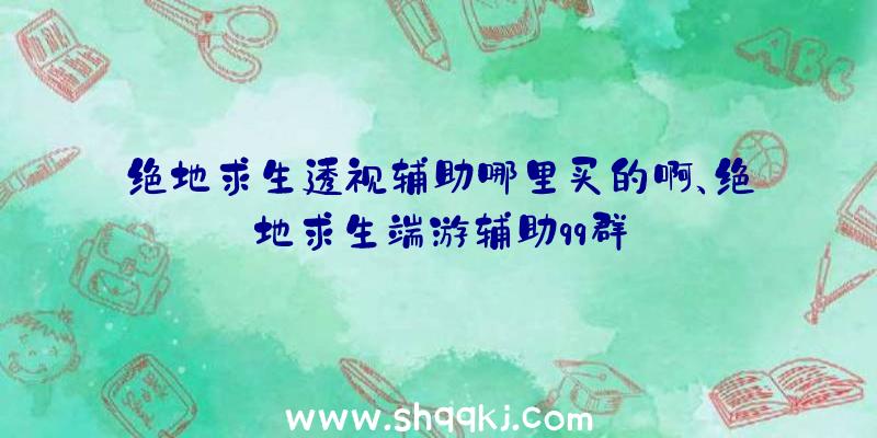 绝地求生透视辅助哪里买的啊、绝地求生端游辅助qq群