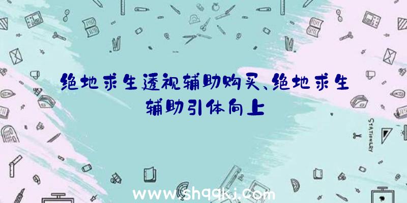 绝地求生透视辅助购买、绝地求生辅助引体向上