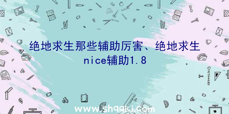 绝地求生那些辅助厉害、绝地求生nice辅助1.8