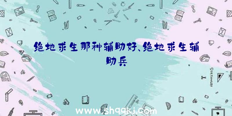 绝地求生那种辅助好、绝地求生辅助兵