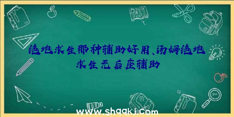 绝地求生那种辅助好用、汤姆绝地求生无后座辅助