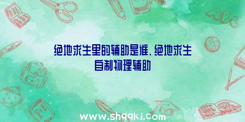 绝地求生里的辅助是谁、绝地求生自制物理辅助