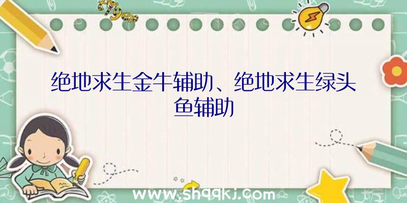 绝地求生金牛辅助、绝地求生绿头鱼辅助