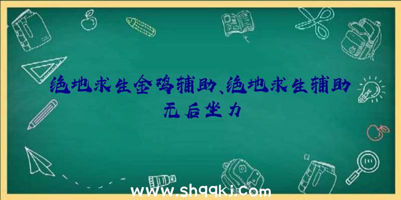 绝地求生金鸡辅助、绝地求生辅助无后坐力