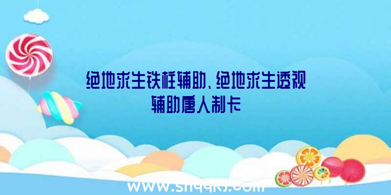 绝地求生铁柱辅助、绝地求生透视辅助唐人制卡