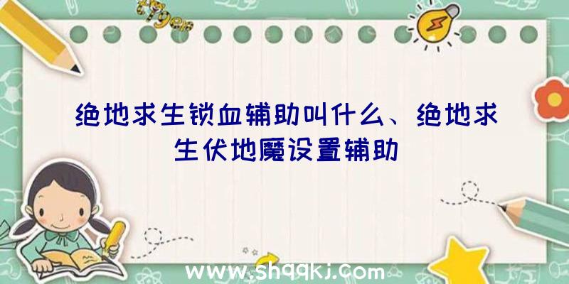 绝地求生锁血辅助叫什么、绝地求生伏地魔设置辅助