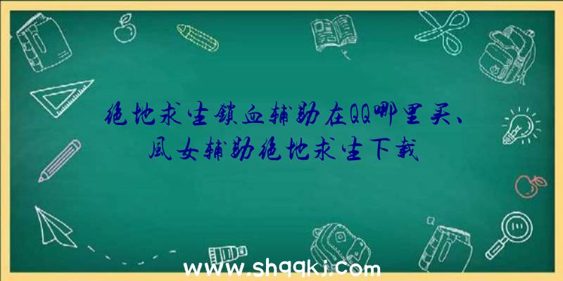 绝地求生锁血辅助在QQ哪里买、风女辅助绝地求生下载