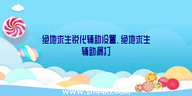 绝地求生锐化辅助设置、绝地求生辅助漏打