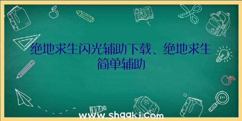 绝地求生闪光辅助下载、绝地求生简单辅助