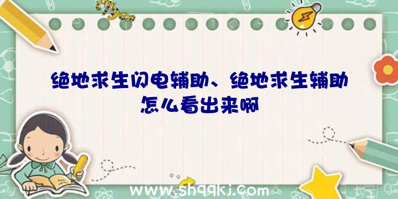 绝地求生闪电辅助、绝地求生辅助怎么看出来啊