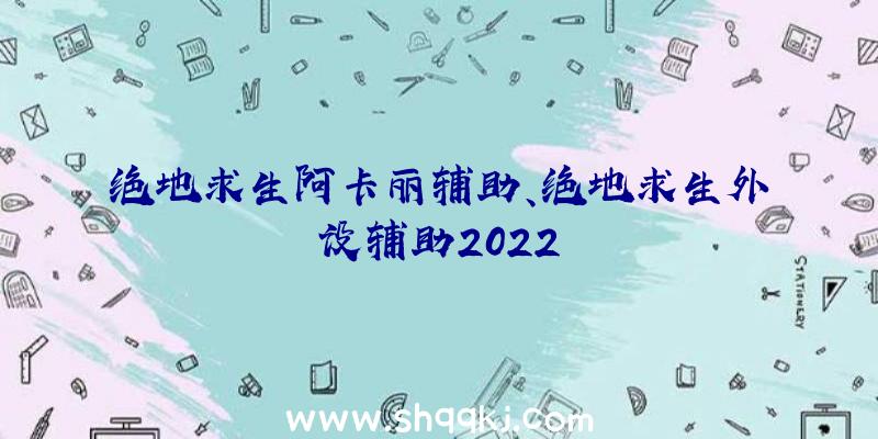 绝地求生阿卡丽辅助、绝地求生外设辅助2022