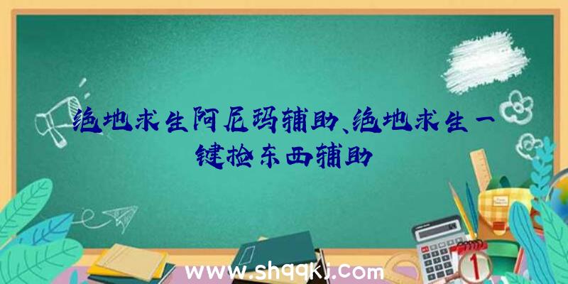 绝地求生阿尼玛辅助、绝地求生一键捡东西辅助