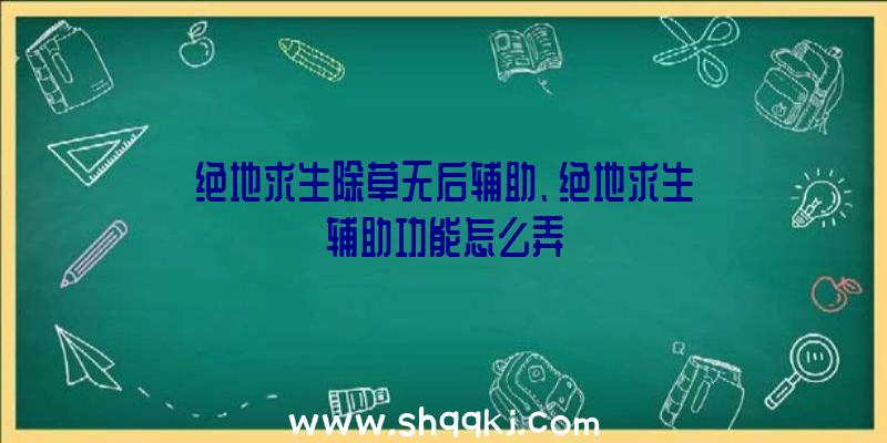 绝地求生除草无后辅助、绝地求生辅助功能怎么弄