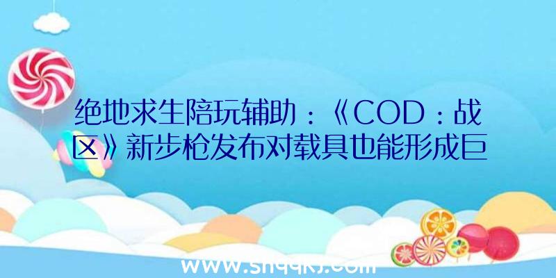 绝地求生陪玩辅助：《COD：战区》新步枪发布对载具也能形成巨额损伤