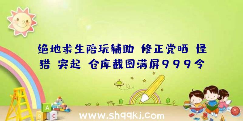 绝地求生陪玩辅助：修正党晒《怪猎：突起》仓库截图满屏999令其他玩家肝疼