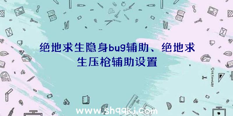 绝地求生隐身bug辅助、绝地求生压枪辅助设置