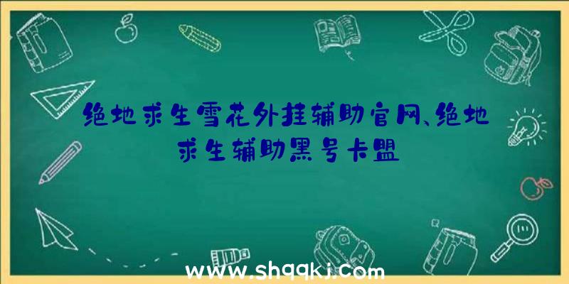 绝地求生雪花外挂辅助官网、绝地求生辅助黑号卡盟