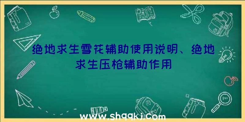 绝地求生雪花辅助使用说明、绝地求生压枪辅助作用