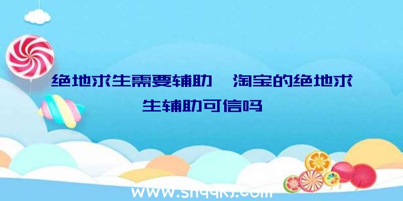 绝地求生需要辅助、淘宝的绝地求生辅助可信吗