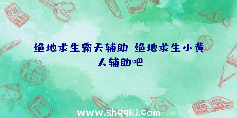 绝地求生霸天辅助、绝地求生小黄人辅助吧