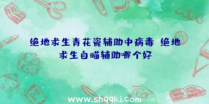 绝地求生青花瓷辅助中病毒、绝地求生自瞄辅助哪个好