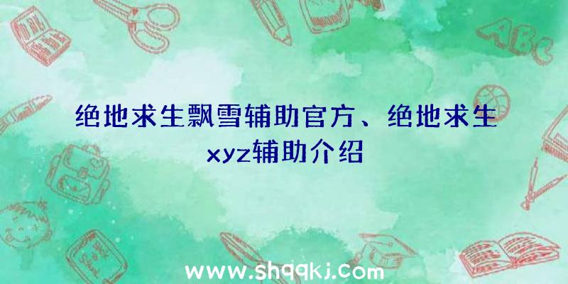 绝地求生飘雪辅助官方、绝地求生xyz辅助介绍