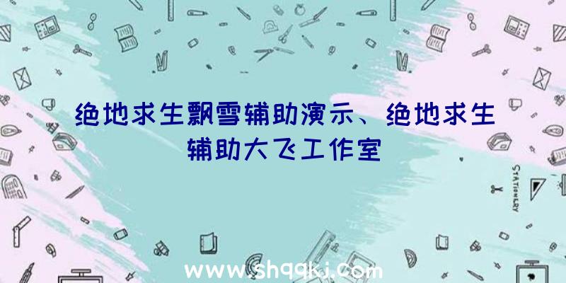 绝地求生飘雪辅助演示、绝地求生辅助大飞工作室