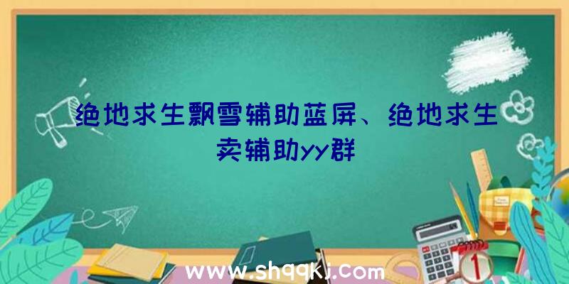 绝地求生飘雪辅助蓝屏、绝地求生卖辅助yy群