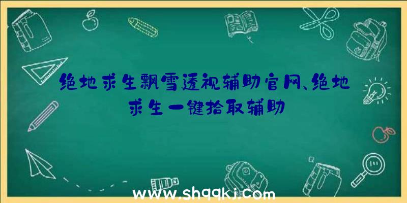 绝地求生飘雪透视辅助官网、绝地求生一键拾取辅助